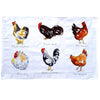 Chickens,Kentucky King to The Nugget.
